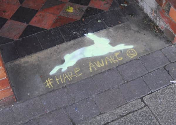 New Hare Aware chalk paintings are to begin appearing around Sleaford. EMN-180928-094823001