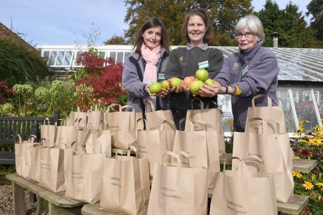 The annual Apple Day at Gunby Hall, with (from left) Jamielah Lockwood - volunteer, Natasha Johnson - head gardener, and Jinny Wilson - voluteer, selling apples from Gunby gardens.