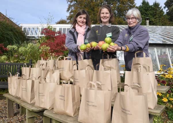 The annual Apple Day at Gunby Hall, with (from left) Jamielah Lockwood - volunteer, Natasha Johnson - head gardener, and Jinny Wilson - voluteer, selling apples from Gunby gardens.