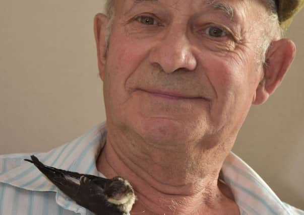Colin Dickinson and the young house martin.