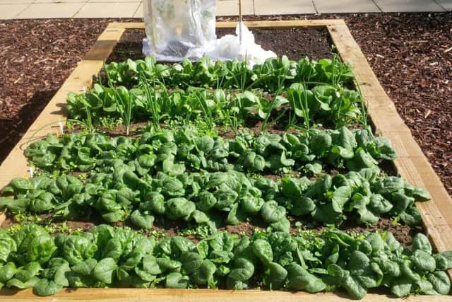 Residents in Market Rasen would like an allotment