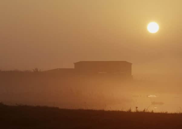 There are spooky goings on at RSPB Frampton Marsh this Halloween. Picture: Neil Smith.