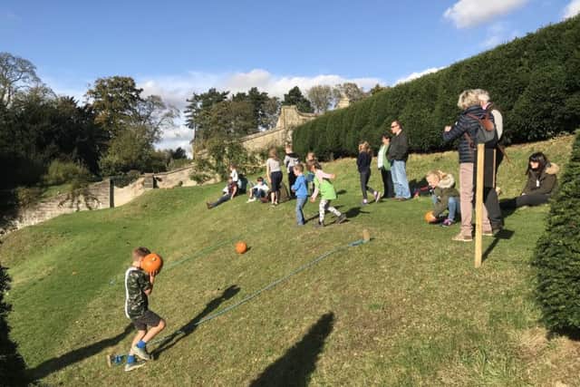 Enjoy pumpkin rolling this half-term at Easton Walled Gardens. EMN-181210-154752001