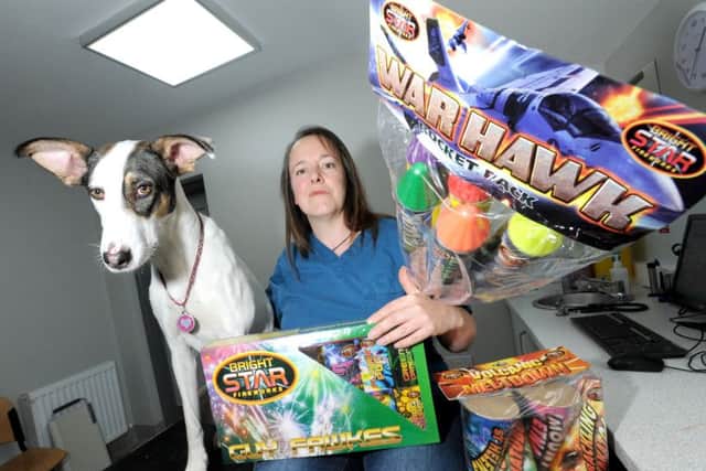 Eastfield Vets veterinary nurse Julie Brewer and Twiggy with fireworks.