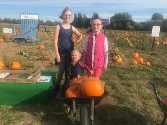 One-year-old Jacob Berry of Howncastle hetting some help with the wheelbarrow full of pumpkins from Grace Ives, 11, and Lillie Moore, 7. ANL-181015-143548001