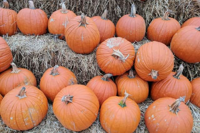 Hallowe'en at Uncle Henry's EMN-181015-221151001