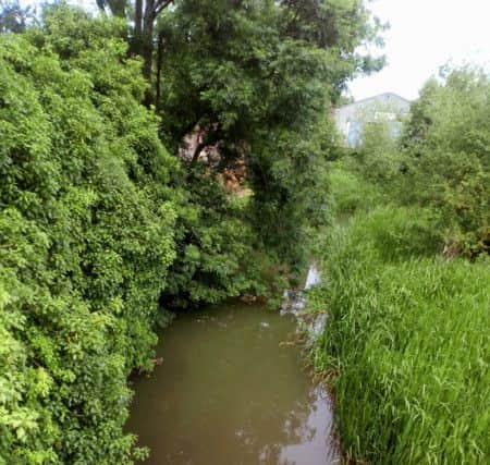 Trees line the banks of the River Bain near to Jubilee Way
