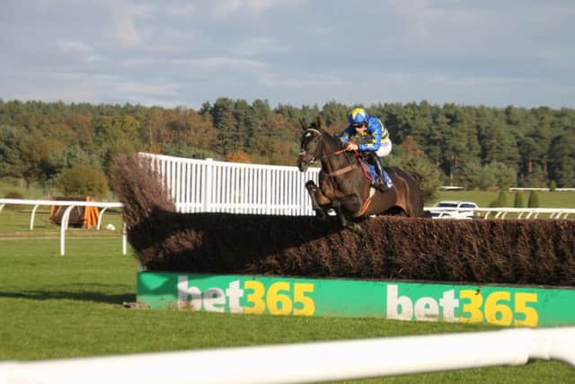 A fine jump by Dynamite Dollars, winner of the Novices Chase under jockey Harry Cobden. Photo: Peter Thompson.