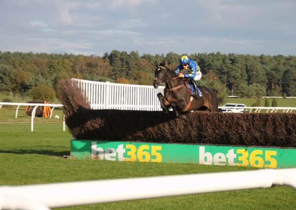 A fine jump by Dynamite Dollars, winner of the Novices Chase under jockey Harry Cobden. Photo: Peter Thompson.