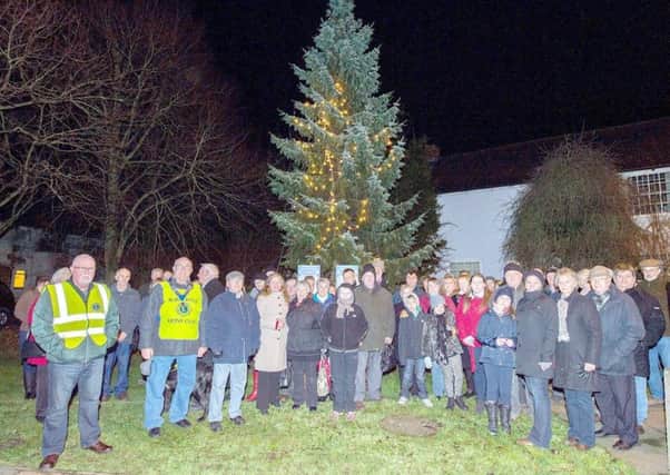 The Tree of Light will be lit on December 14 for the duration of the Christmas period. Picture: John Aron.