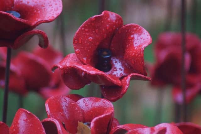 We Will Remember Them Photo by Dianne Tuckett