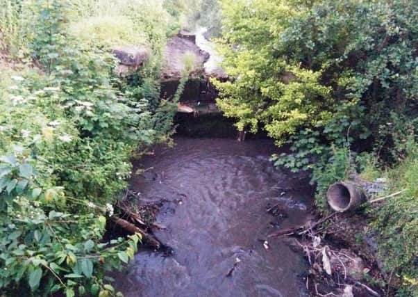 Inset: Mr Davies claims the watermill is not working due to the collapse of Keddington Lock.