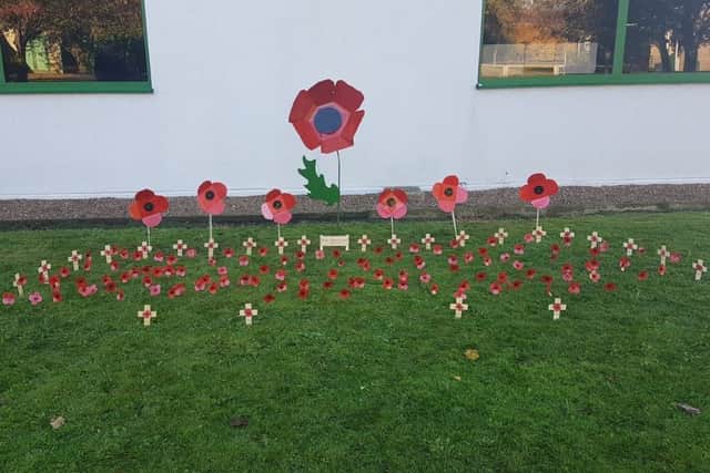 The poppy garden at Banovallum School.