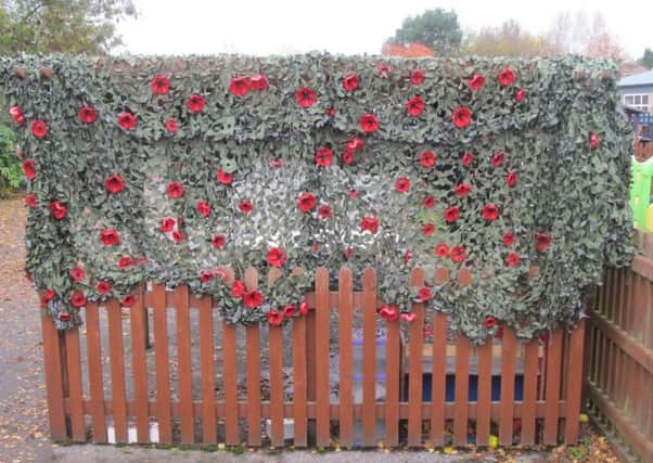 The poppy display created by staff and children at Jacdor Pre-School, in Coningsby. EMN-180911-154425001