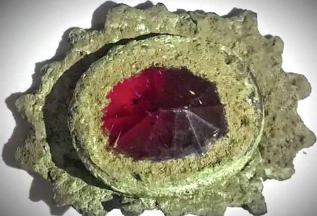 The gemstone-encrusted brooch found by Mr Drayton on the fifth season of Curse of Oak Island.