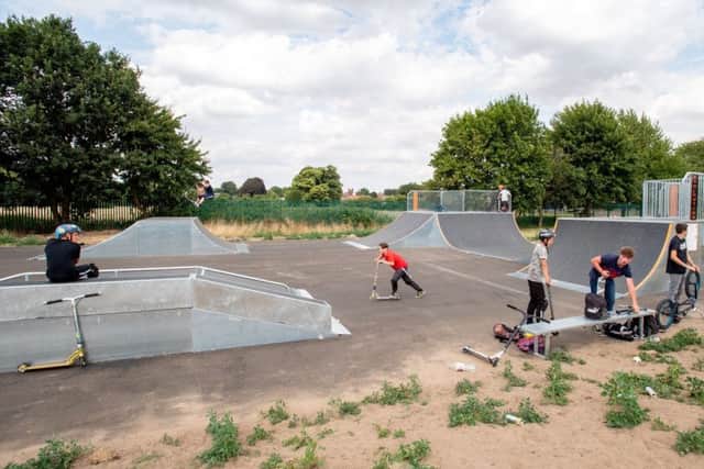 The skate park was a major project for the Town Council this year.