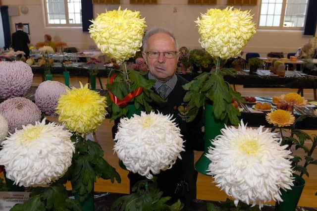 Spilsby and District Chrysanthemum Show. John Simpson of Stickney with his Bronze Medal and Stan Dale's Medal winning Chrysanthemums.