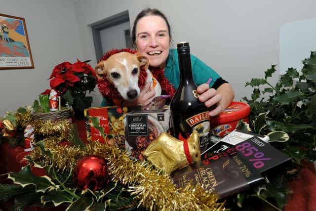 Dr Wendy Adams, from Eastfield Vets, with some of the common Christmas hazards. EMN-181112-104102001