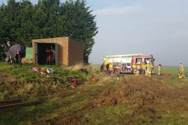 Firefighters helped rescue the horse from a drain