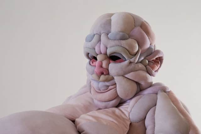 Detail of Clive by Daisy Collingridge, courtesy the artist. An exhibition from The 62 Group of Textile Artists, produced in partnership with Midlands Arts Centre Birmingham EMN-181217-122457001