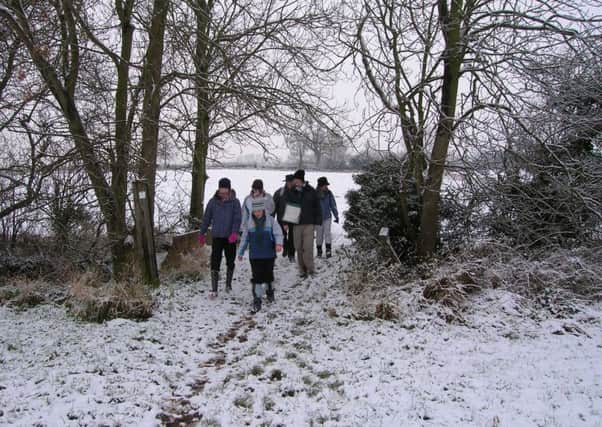 Enjoy a winter walk EMN-181218-155035001