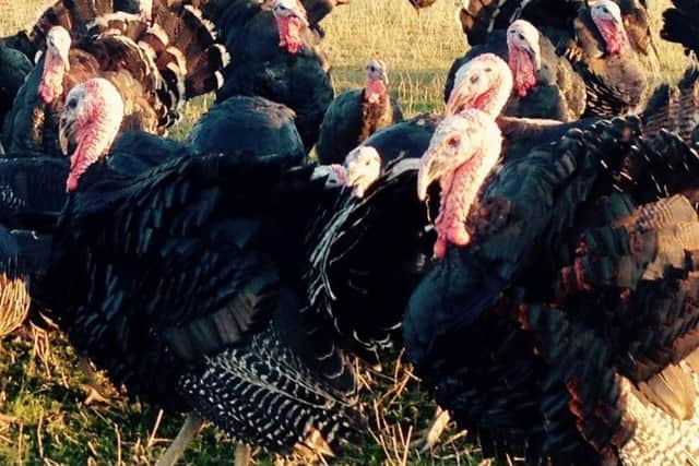 Christmas turkeys for Sleaford Food Larder from The Inkpot, of Scredington. EMN-181220-115738001