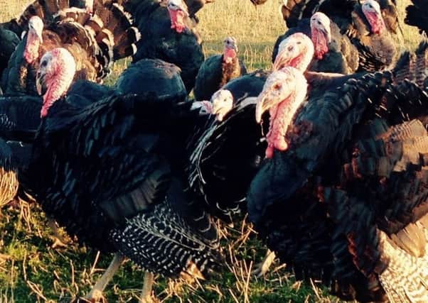 Christmas turkeys for Sleaford Food Larder from The Inkpot, of Scredington. EMN-181220-115738001