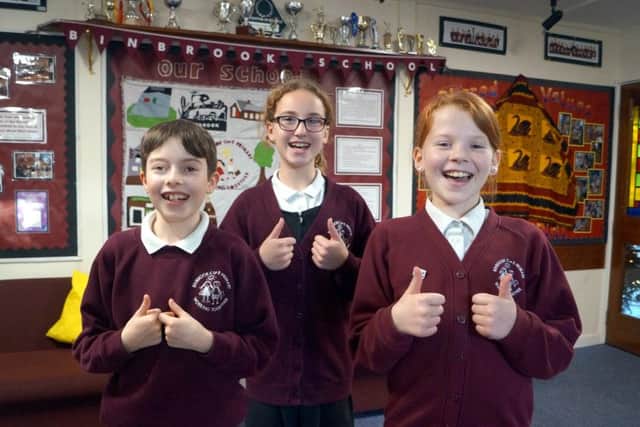 Pupils celebrate success at Binbrook CofE Primary School. EMN-181219-164558001