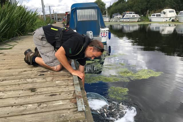 Environment Agency fisheries experts restocking the River Witham at Chapel Hill where it joins the Kyme Eau, which links to the River Slea.