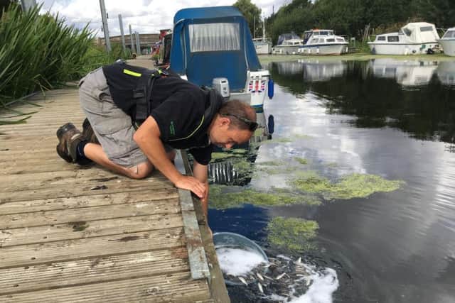 Environment Agency fisheries experts restocking the River Witham