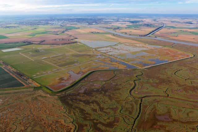 Site of the Year again ... RSPB Frampton Marsh. Picture: Jim Blaylock