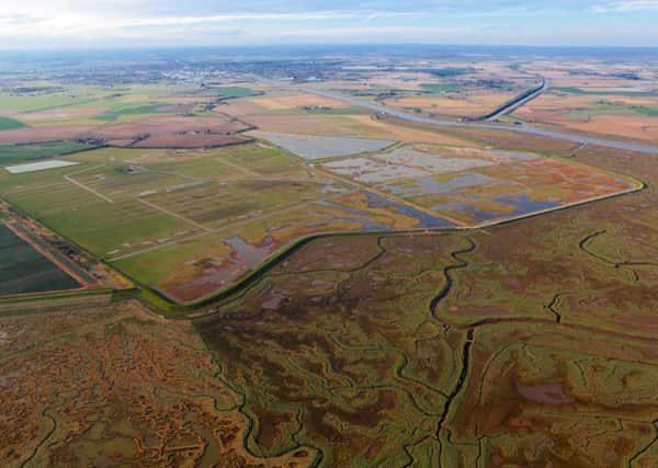 Site of the Year again ... RSPB Frampton Marsh. Picture: Jim Blaylock