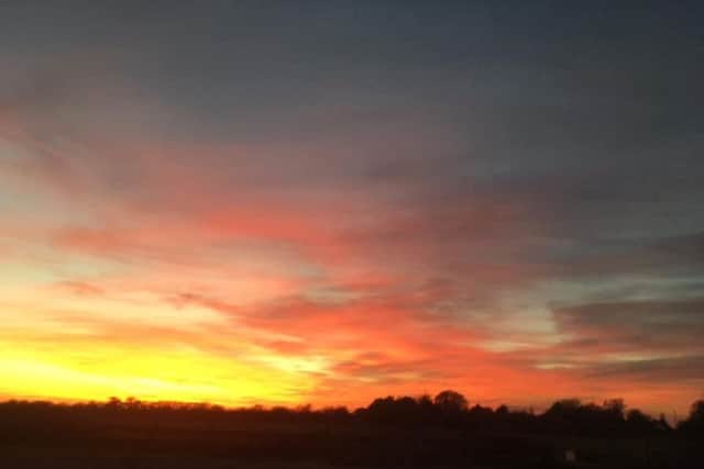 Our latest Reader Picture.