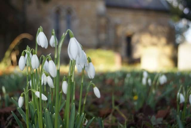 Snowdrops at Kirmond le Mire church EMN-190114-153239001