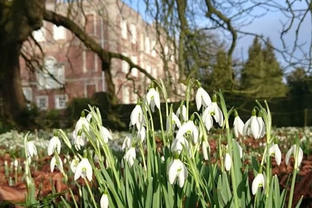 Enjoy snowdrop walk at Gunby Hall. EMN-190901-160543001