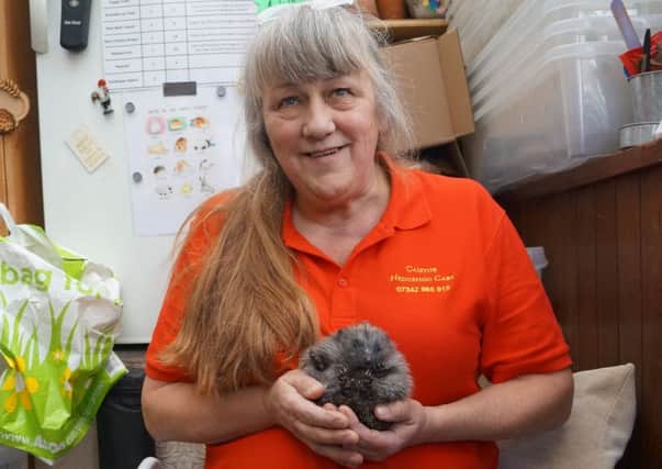 Laurie Fox and Ruby Roo, who arrived at the Caistor centre when she was just three days old EMN-190901-161315001