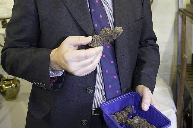 The 23-million-year-old dinosaur poo.