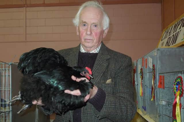 Reserve was a black Orpington bantam shown by Brian Anderton EMN-190129-100510001
