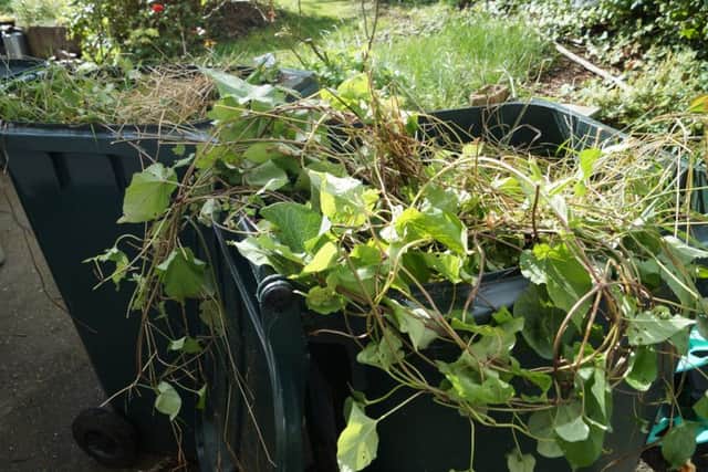 Green bins EMN-190128-235232001