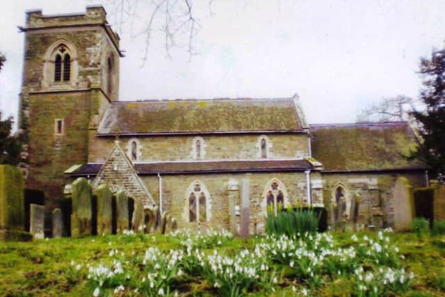 Snowdrops at Edlington