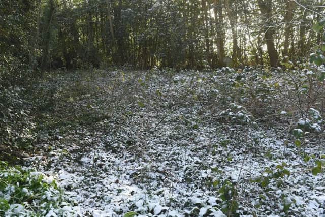Overgrown graveyards at Rauceby. EMN-190402-143217001
