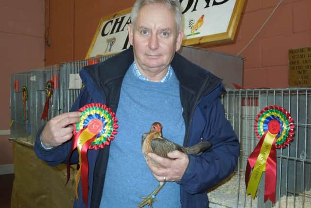Robert White, Best Hard Feather EMN-190402-153550001