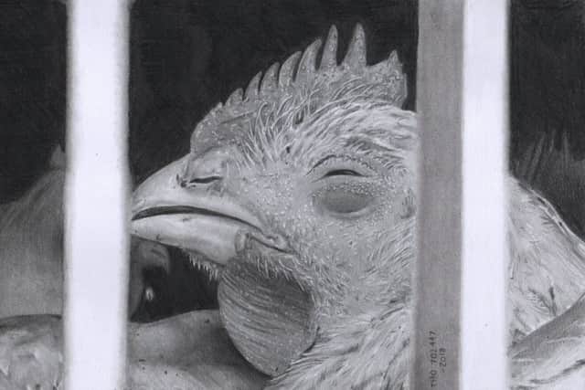 One of the pieces created by David S Brown. EMN-190402-195807001