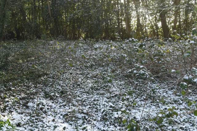 Overgrown graveyards at Rauceby. EMN-190402-143217001