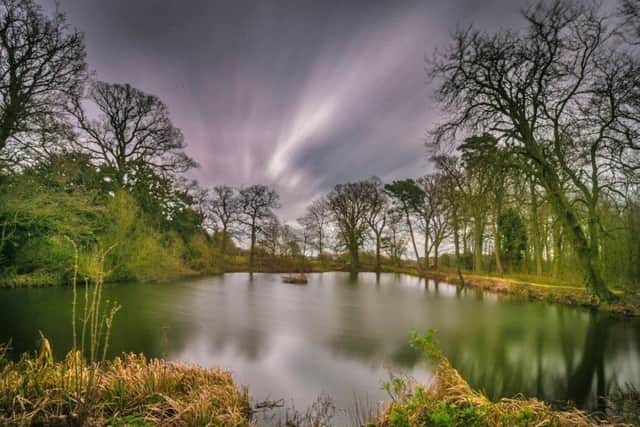 Visitors can enjoy a guided walk to the ice house pond. Picture: David Dales.