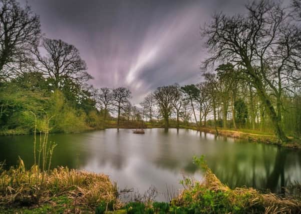 Visitors can enjoy a guided walk to the ice house pond. Picture: David Dales.