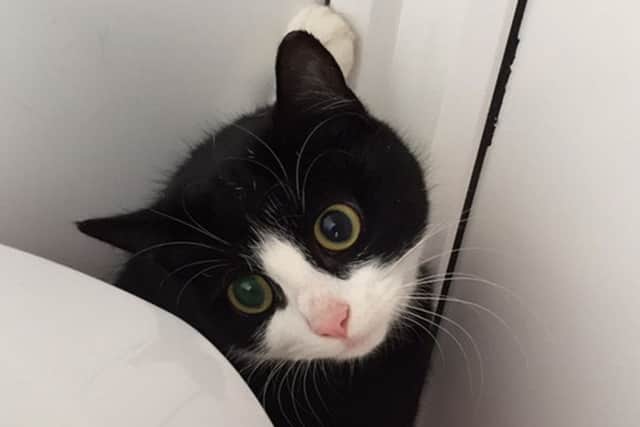 Tilly, aged one.
