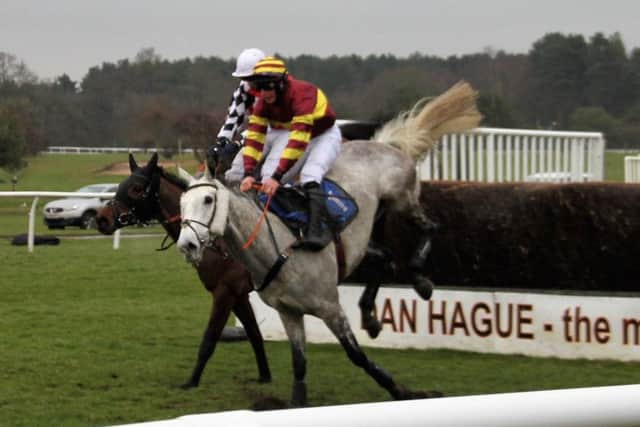 The grey Parlour Maid (nearside) battles with Quantum of Solace over the final fence on the way to victory in the handicap chase Picture: Peter Thompson EMN-191102-113558002