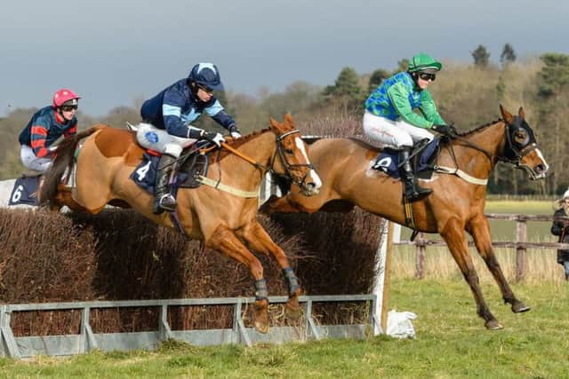 Racing at Brocklesby Park has become a popular staple in the point-to-point calendar Picture: Nico Morgan EMN-191202-084533002