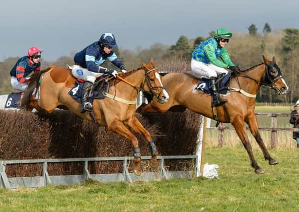 Racing at Brocklesby Park has become a popular staple in the point-to-point calendar Picture: Nico Morgan EMN-191202-084533002
